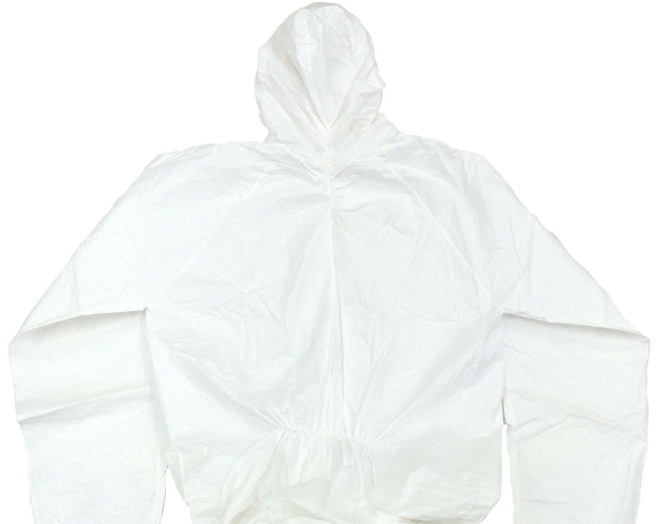 背中アップ画像