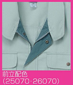 前立の色味