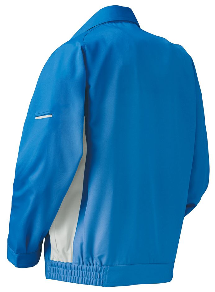 ロイヤルブルーのバックスタイル