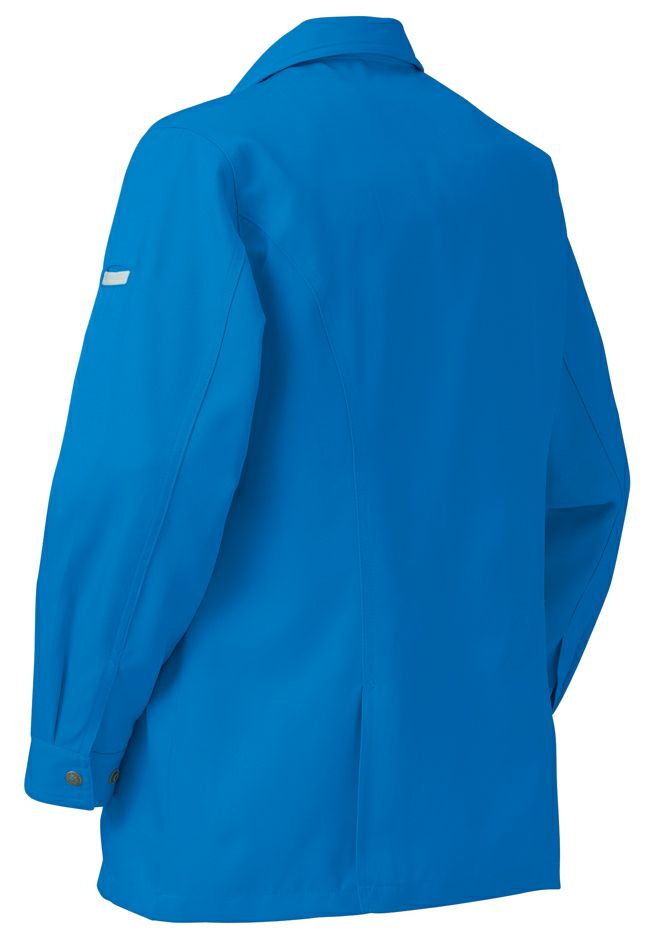 ロイヤルブルーのバックスタイル