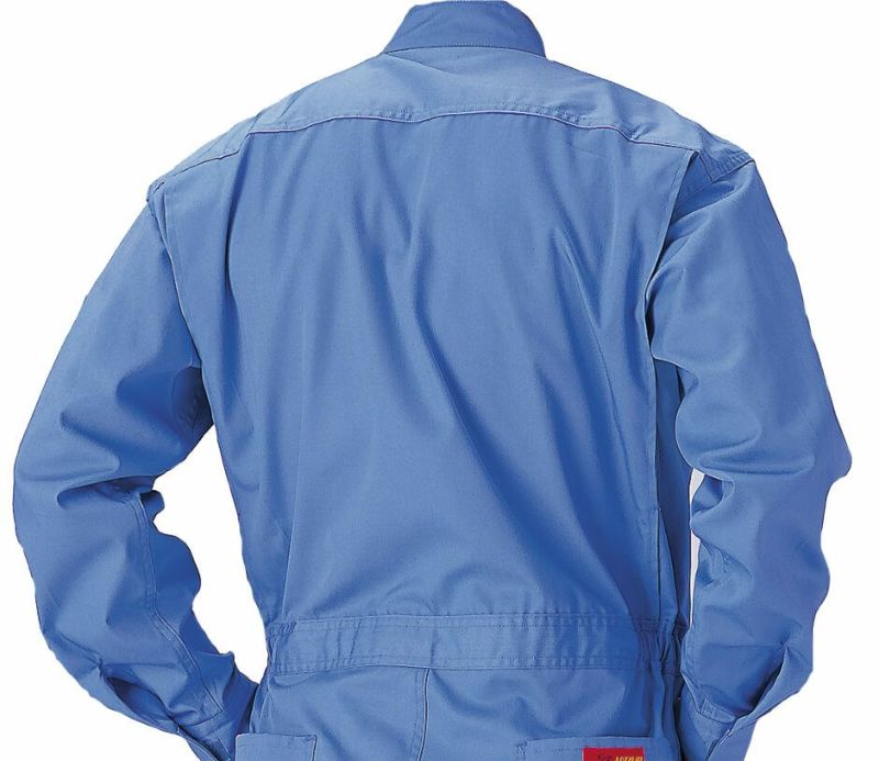 背中アップ画像