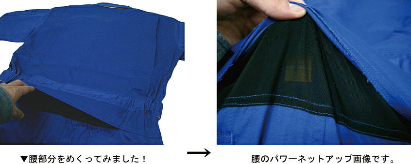 腰部パワーネット画像