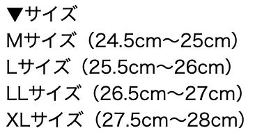サイズ展開