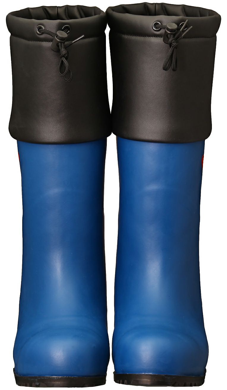 正面からの撮影写真