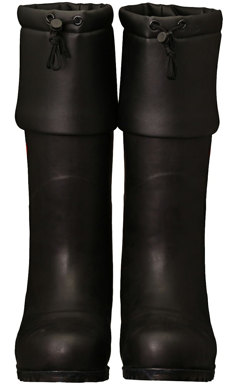 正面からの撮影写真