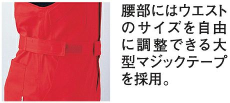 腰部画像
