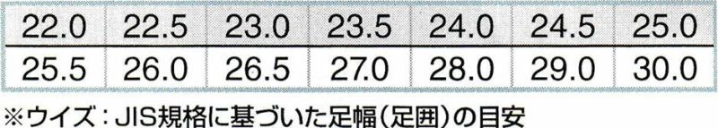 サイズ展開