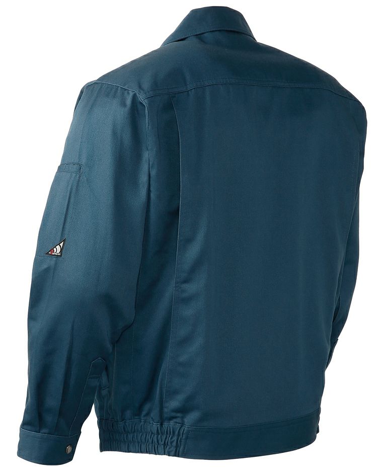 ブルーのバックスタイル