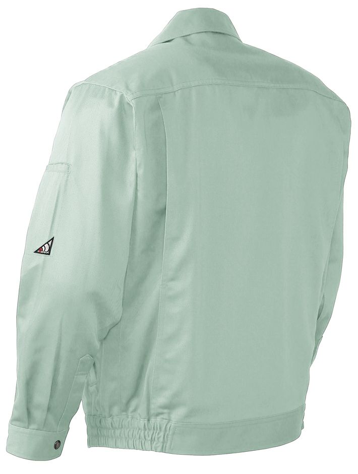 スモークグリーンのバックスタイル