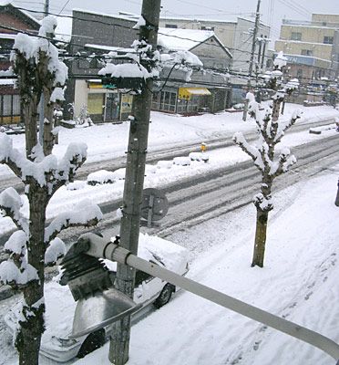 う～寒すぎるぜッ。。。　↓下見てネ。