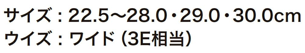 サイズ表