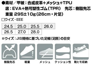 サイズ表