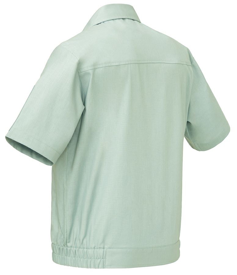 ライトグリーン背面