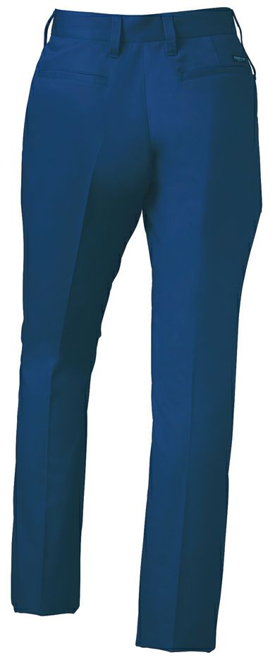 ブルーのバックスタイル