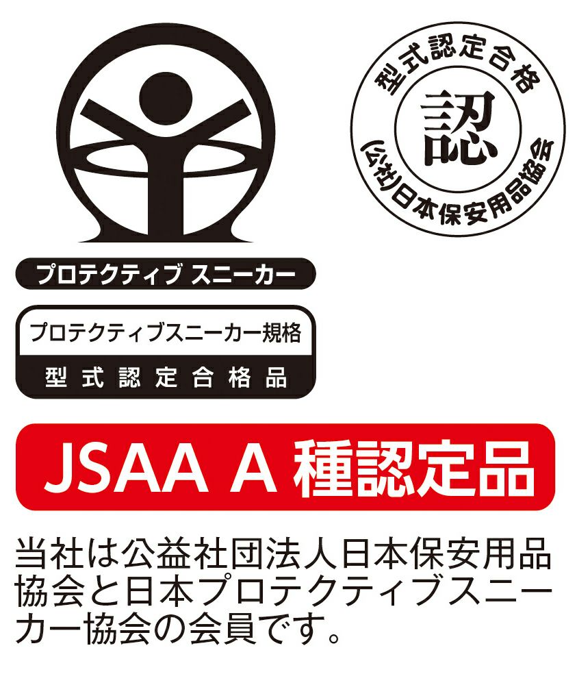 JSAA A種認定