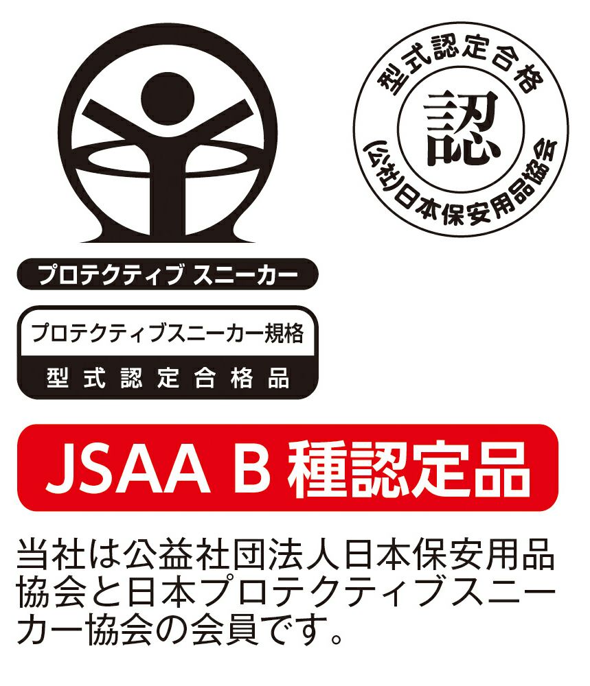 JSAA B種認定